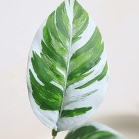 Plante artificielle en feuilles de Calathea, 28 cm, en plastique, fausse plante verte, durable, de haute qualité, pour la décoration intérieure et extérieure de la maison et du jardin