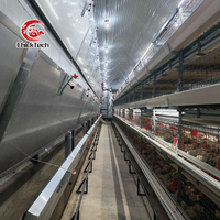 Équipement d'élevage de poulets automatique de conception moderne, cage à poulets de type H pour les Philippines avec système d'alimentation et d'abreuvement