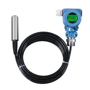 Alibaba Registered Supplier Hydrostatic Submersible 4-20mA RS485 Water Tank Level Sensor With Display Price
