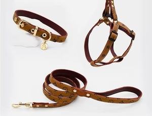 Modische Marken-Hundeleine mit Brust- und Rückengurt, Halsband und Halsschmuck - Product Image 2