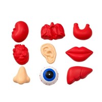 Jouet Squishy de Simulation d'Halloween en Mousse PU, Organes Humains Simulés (Cœur, Foie, Poumons, Reins) pour Soulagement du Stress et Décompression par Compression