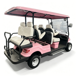 Carrito de Golf Eléctrico Rosa de 6 Plazas Personalizable, Color, Asientos y Configuraciones Opcionales - Product Image 5