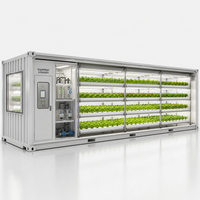 Conteneur en alliage d'aluminium 40HQ personnalisé pour ferme hydroponique NFT, entrepôt extérieur de supermarché, système clé en main complet pour laitue