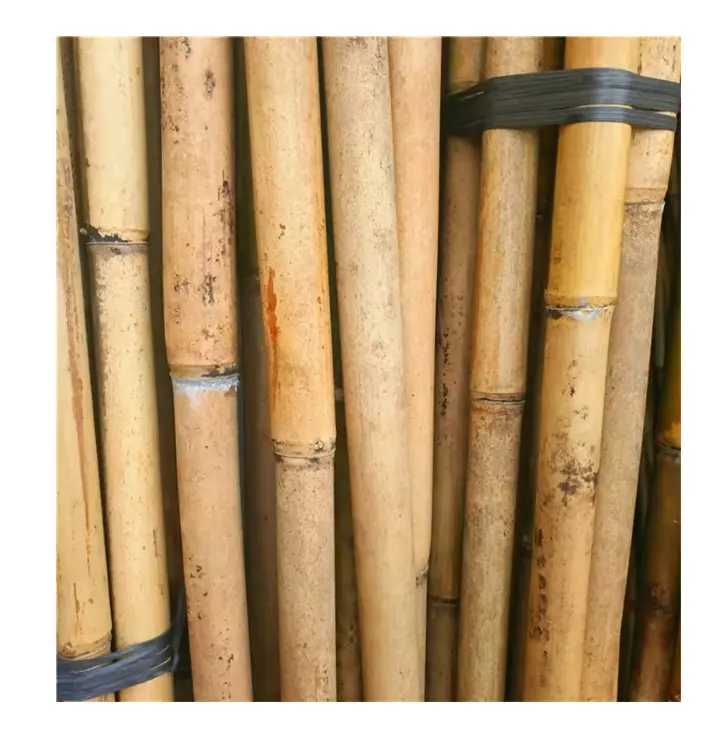 Straight white Bamboo poles with decorative plants growing