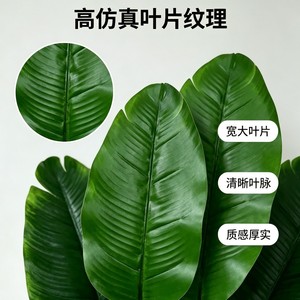 Planta Artificial Ave del Paraíso de 60 cm, Decoración de Interiores, Palmera de Viajero en Maceta, Adorno para el Hogar - Product Image 4