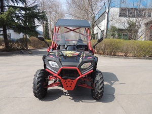 Vente directe d'usine Buggy 4x2 UTV 2x4 Quad à essence 250 EEC de vente Moteur de moto 4 temps 250cc UTV - Product Image 3