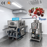 Machine à tempérer le chocolat au beurre de cacao pur + Machine d'enrobage + Tunnel de refroidissement pour fraises et myrtilles surgelées IQF