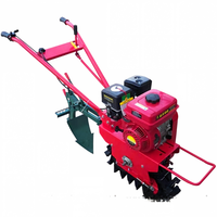 Motoculteur diesel compact pour usage agricole domestique, à deux roues motrices, guidé à la main, garantie 1 an, 55 kg