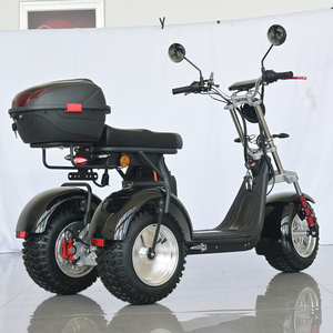 Motocicleta Eléctrica de Tres Ruedas, Triciclo, 25A 30A, Dos <span class=keywords><strong>Baterías</strong></span> Extraíbles, Neumático Todoterreno de 10 Pulgadas, Venta Directa de Fábrica SHANSU - Product Image 2