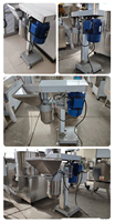 Ruida — broyeur de fruits et légumes, Machine pour la fabrication de la pâte de tomate, alimentation d'usine