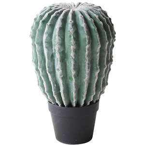 Cactus Artificiale Dorato a Forma di Sfera, Realistico, di Alta Qualità, Ecologico, Durevole, Resistente all'Acqua, per Interni ed Esterni, Casa e <span class=keywords><strong>Giardino</strong></span> - Product Image 6