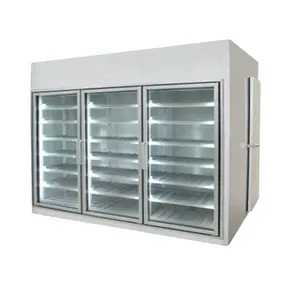 Outlets/Supermarket Display Glass Door Cold Storage Room Freezer