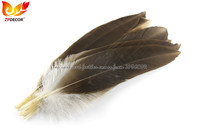 ZPDECOR Gros Naturel Aigle Vautour Condor Plumes pour Brésil Carnaval Costume