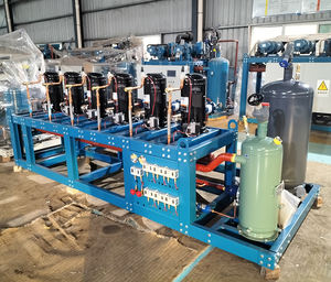 Unité <span class=keywords><strong>de</strong></span> réfrigération à condensation pour <span class=keywords><strong>compresseur</strong></span> parallèle à défilement <span class=keywords><strong>de</strong></span> rack-Type haute/basse température-50 ℃ ~ 35 ℃ pour congélateur <span class=keywords><strong>de</strong></span> stockage - Product Image 3