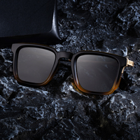 Lunettes de Soleil Partagas de Créateur Tendance, Vente en Gros, Verres UV400, Cadre Carré en PC, Branches Métalliques, Logo Personnalisé pour Hommes