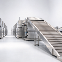 Industriële fruit- en groentedroger met continu transportband, 20 ton per dag, voor grote voedingsmiddelenproductiebedrijven