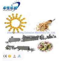 Ligne de production de céréales pour petit-déjeuner (corn flakes) avec mélange, extrusion, flocons, séchage et cuisson pour produits céréaliers