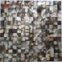 Mosaïque de coquillages en gros, styles variés, mosaïque de coquillages d'eau douce et de mer sans soudure, mosaïque de nacre, mosaïque artistique irisée