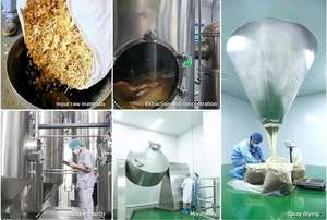 High Grade Powdered Seaweed <b>Extract</b> Plant <b>Extracts</b> Suitable for Regular Consumption - Product Image 5