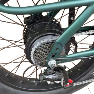 Vélo électrique pour adultes avec batterie au lithium amovible 48v 250W longue queue et chargement frontal espace de chargement - Product Image 6