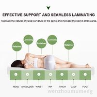 Cubrecolchón de Látex de Lujo Tamaño Queen, Espuma de Látex de Bajo Rebote con Soporte Ergonómico para el Cuerpo, Transpirable y Antiácaros