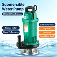 Pompe submersible électrique haute pression QDX pour l'irrigation des étangs et des terres agricoles, utilisation en eau de mer, personnalisable 1,5/2 CV en alliage d'aluminium