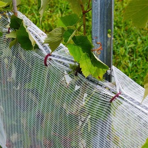 רשת ציפור עבור חסין בפני צפור בכרם נגד ציפורים על הרשת - Product Image 4