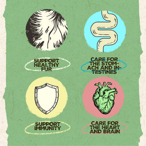 Бесплатные образцы, оптовая цена, сухой корм для собак, 100%, свежий корм для домашних животных, корм для собак - Product Image 4