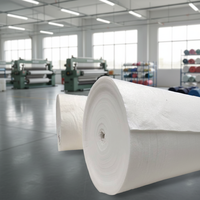 Geotextil de Refuerzo Antienvejecimiento, Tejido de Fibra Discontinua de Alta Tenacidad, Dimensionalmente Estable para Proyectos de Recuperación de Terrenos