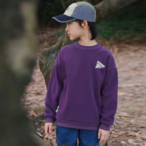 <span class=keywords><strong>Sweat</strong></span>-shirt à col rond en molleton tricoté teint en pièce, respirant, en coton, pour garçons, personnalisable OEM/ODM, haut décontracté d'hiver - Product Image 1