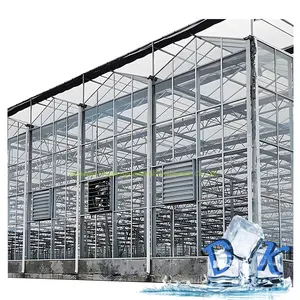 Agriculture Commercial Long Life PE Film A-Frame glass Greenhouse for Vegetables /Tomato/Flower