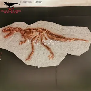Bảo tàng tiêu chuẩn khủng long Mẫu hóa thạch tượng cho triển lãm