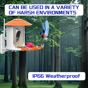 Nouveau modèle de mangeoire à oiseaux intelligente en ABS avec vidéo ultra-HD 4MP, classificateur d'oiseaux intelligent par IA et prise en charge de l'application <span class=keywords><strong>VicoHome</strong></span> - Product Image 4