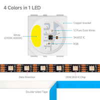 Lampes LED à pixels intelligents RGBW DC12V WS2815 SMD5050 pour parcs à thème et manèges, éclairage architectural paysager