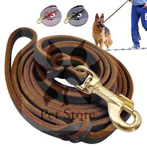 Correa de cuero con gancho de latón para perro-5 pies - Product Image 1