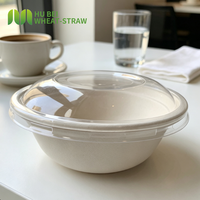 Saladier et bol à nouilles à emporter 900 ml en bagasse avec couvercle, résistant à la graisse et anti-fuite, jetable, non blanchi, OEM