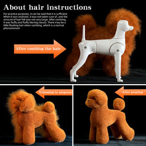 Teddy Pet Simulatie Haar Kapsalon Oefenpop Hond Volledig Lichaam Hoofd Skelet Model Kapper scheren Bruin oefenmodel - Product Image 5