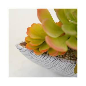 Tavola di decorazione Bonsai Premium con plastica succulenta Aloe misto <span class=keywords><strong>piante</strong></span> verdi artificiali succulente e <span class=keywords><strong>piante</strong></span> di Aloe - Product Image 4