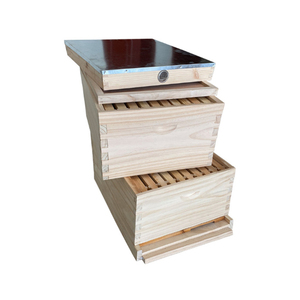 La apreciada colmena de 10 cuadros estilo australiano para la cría de abejas - Product Image 1