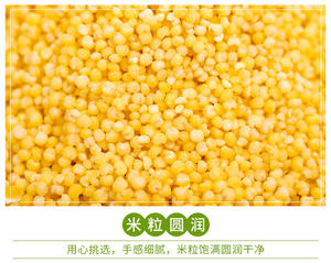来自东北地区的有机金小米，进口健康谷物 - Product Image 5
