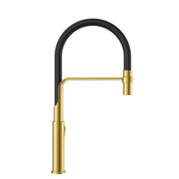 Robinet de cuisine contemporain à poignée unique avec douchette extractible flexible en caoutchouc, finition or brossé, eau chaude et froide