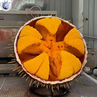 Sculpture géante personnalisée d'ormeau en fibre de verre, statue réaliste de fruits de mer pour restaurant, vitrine de magasin ou présentoir.