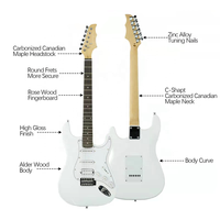 OEM ODM 39 Inch Full Size Electric Guitar with 5w Amp, Rosewood, 6 String, Shoulder Strap, Capo, and Bag