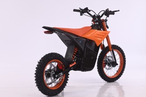 EU New Adult Large Brushless Dirt Bike <b>48V</b> 3000W 60 km/h Dual Purpose Riding Moto Cross E-bike Motorcycle CE - Product Image 2