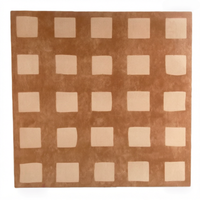 Carreaux de sol en céramique mate au design moderne 600x600, antibactériens, antidérapants, résistants aux acides, imperméables, épaisseur 10 mm, pour villas