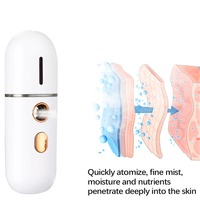 Mini Rociador Facial Iónico Portátil Recargable por USB de 20 ml, Humidificador Facial Nano para Uso Doméstico, Enchufe Estadounidense, Precio de Fábrica