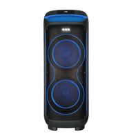 Enceinte Karaoké Portable Haut de Gamme Double 10 Pouces RGB Sans Fil 1000W avec Micro Intégré pour Fêtes, Autonomie 3-5 Heures