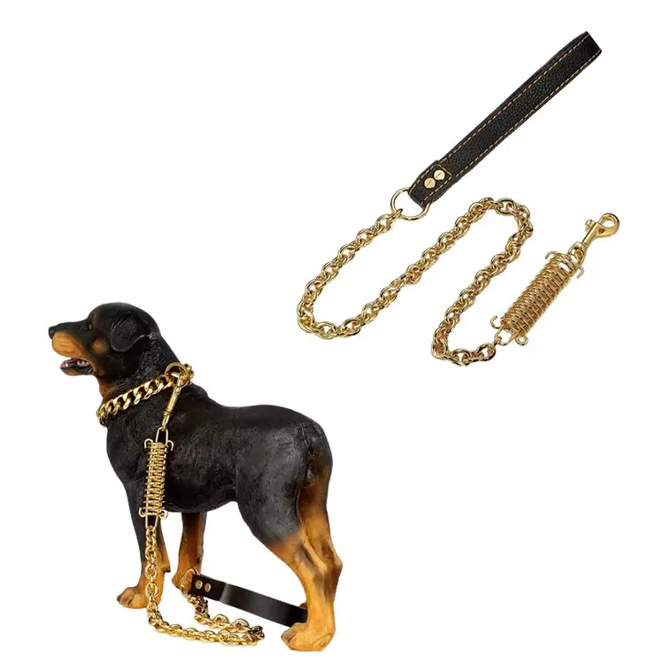 Lüks yürüyüş köpek altın zincir paslanmaz çelik çekiş deri kolu traksiyon boyunluğu Pet köpek tasması demeti