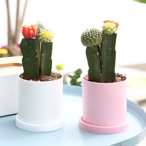 Pots de fleurs de plantes avec logo personnalisé direct d'usine avec plateau <span class=keywords><strong>grand</strong></span> jardin <span class=keywords><strong>lumineux</strong></span> pots de plantes de fleurs en plein air - Product Image 1
