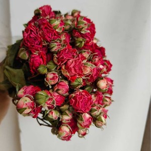 Flor de rosas secas de rosas de varias cabezas de flores de Venta caliente G140 para decoración/hogar/boda para Arreglo de ramo de flores - Product Image 3
